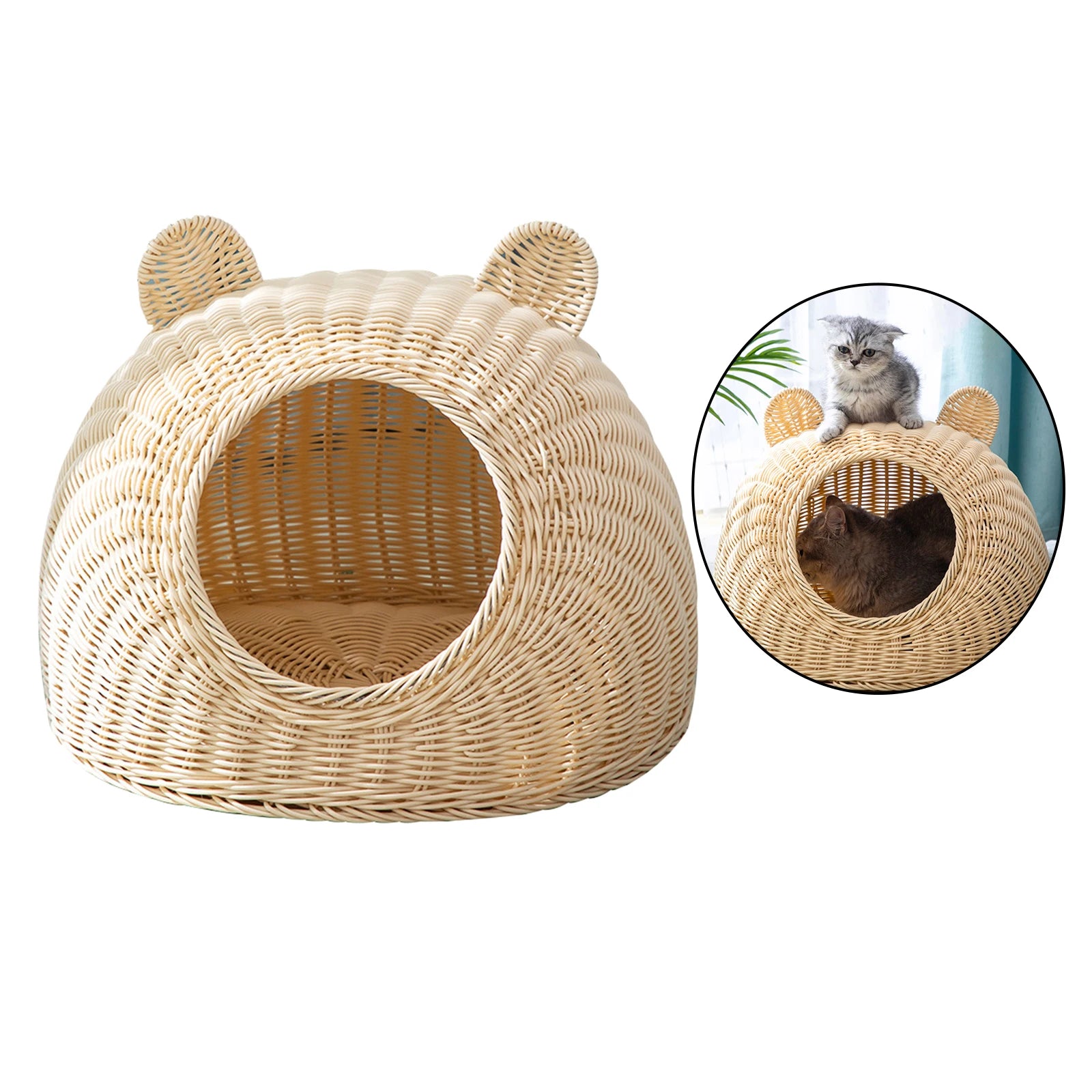 Cesta Freslio