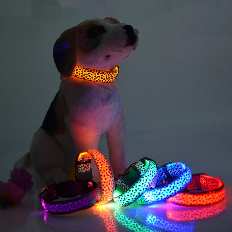 Colar LED