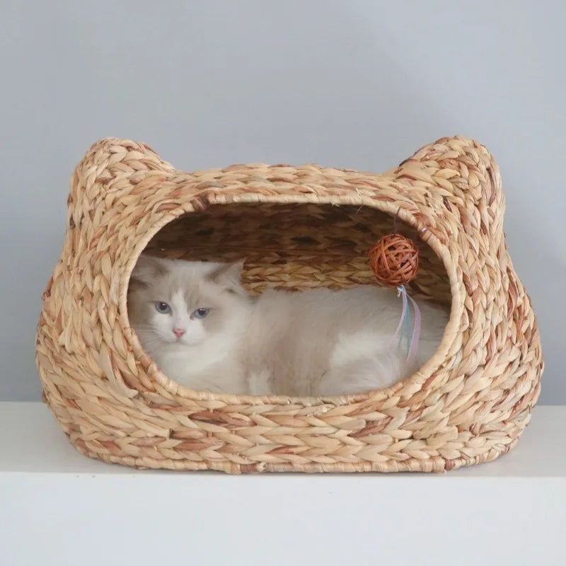 Cesta Orelhas
