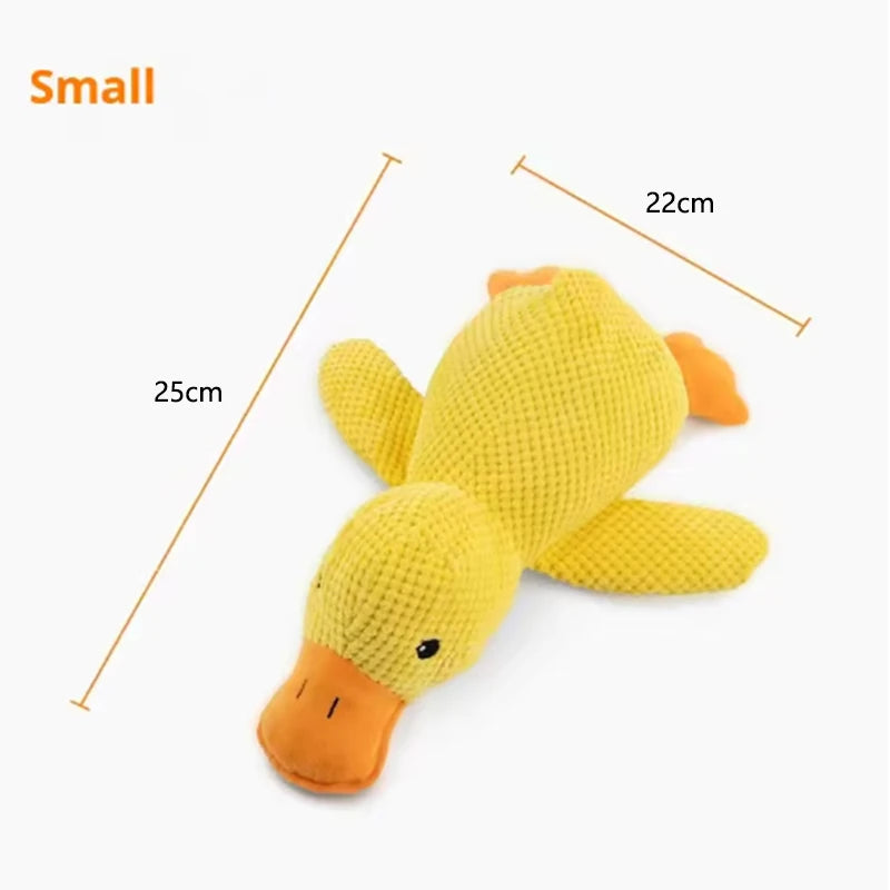 Ducky