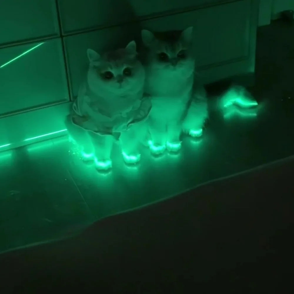 Adesivos Luminosos