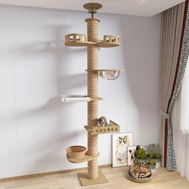 Torre Belly