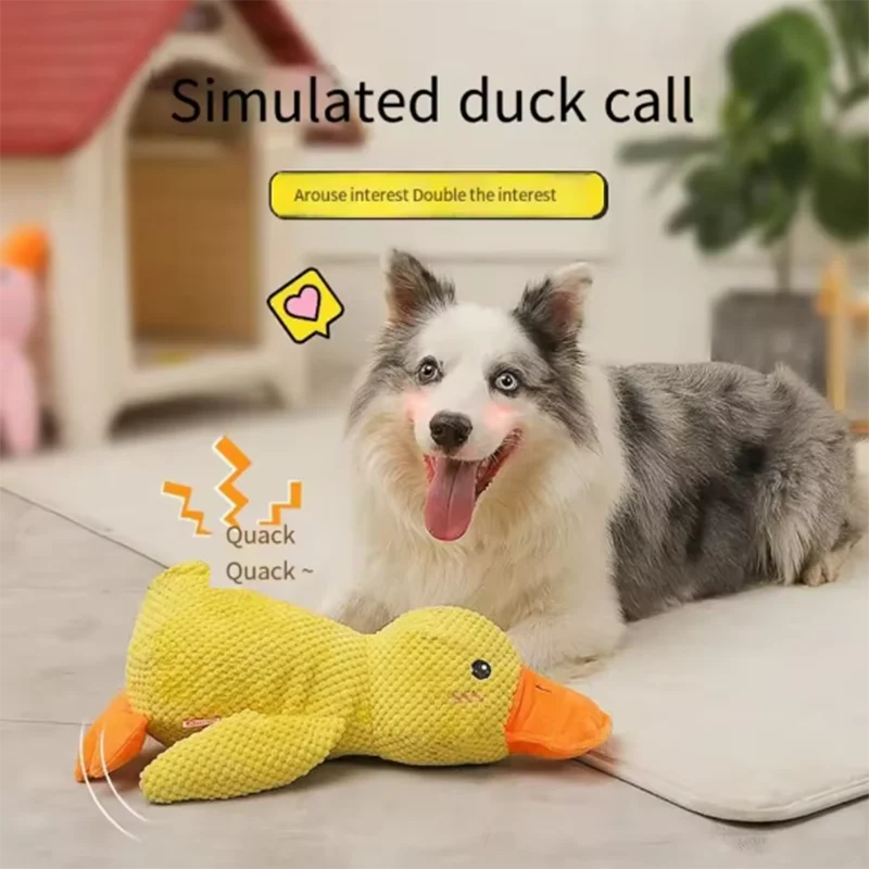 Ducky