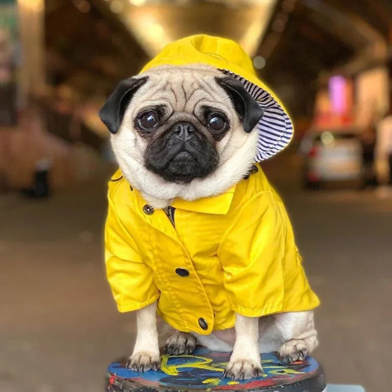 Capa de Chuva