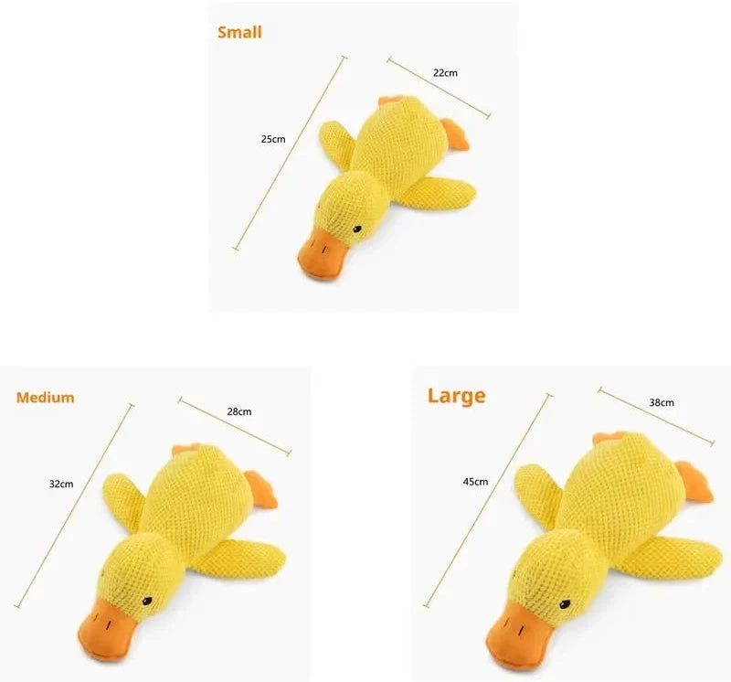 Ducky