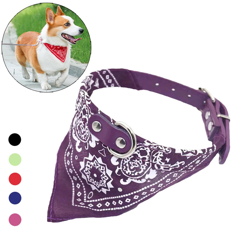 Coleira Bandana