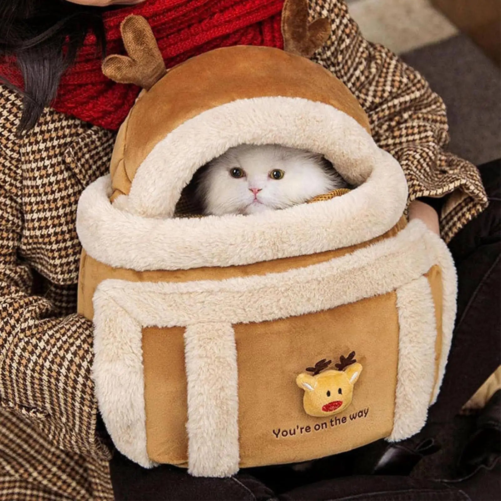 Bolsa Cártes