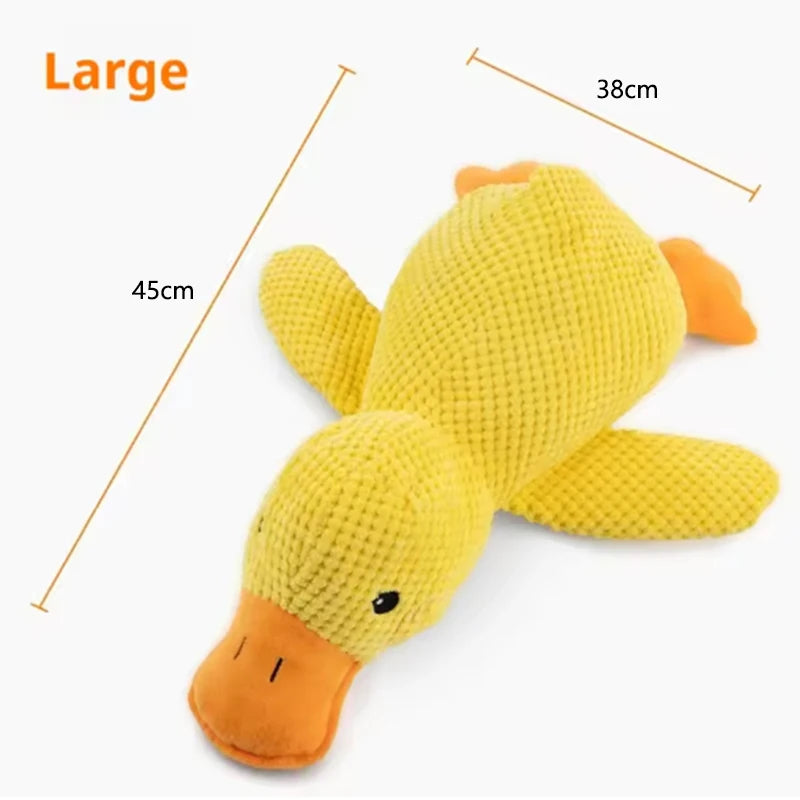 Ducky