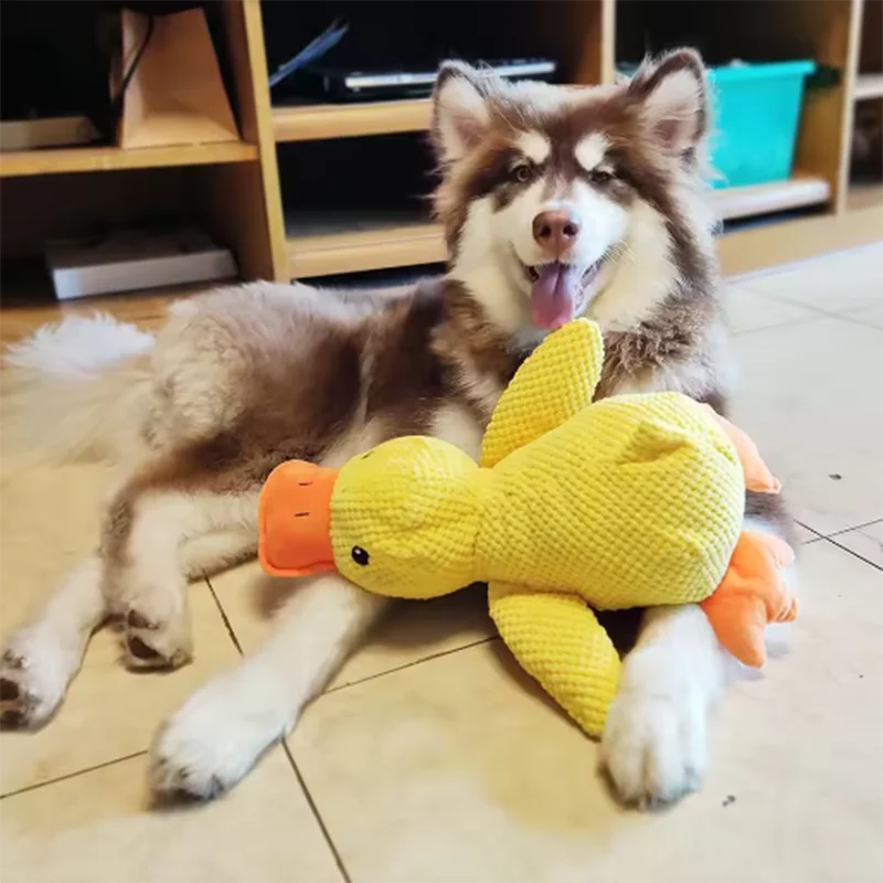 Ducky