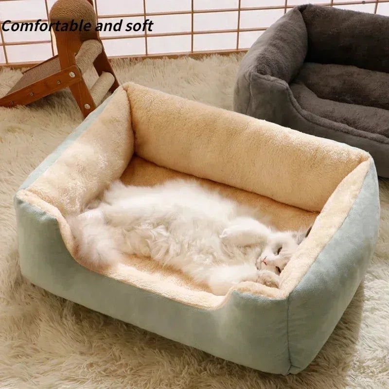 Cama Belasch