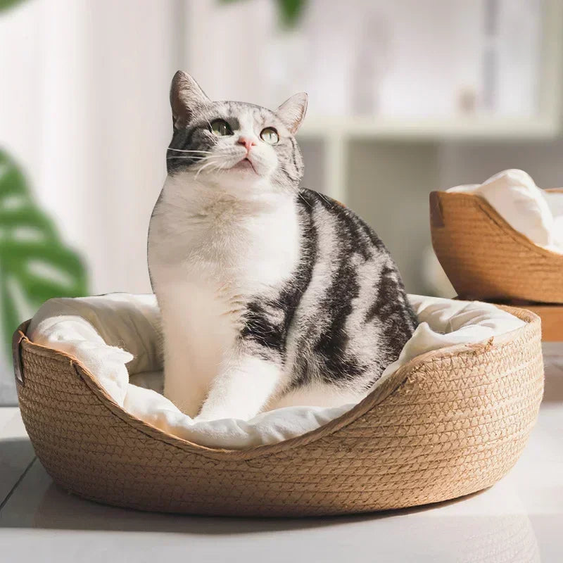 Cesta de Bambu