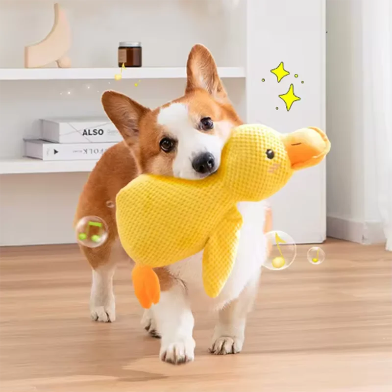 Ducky