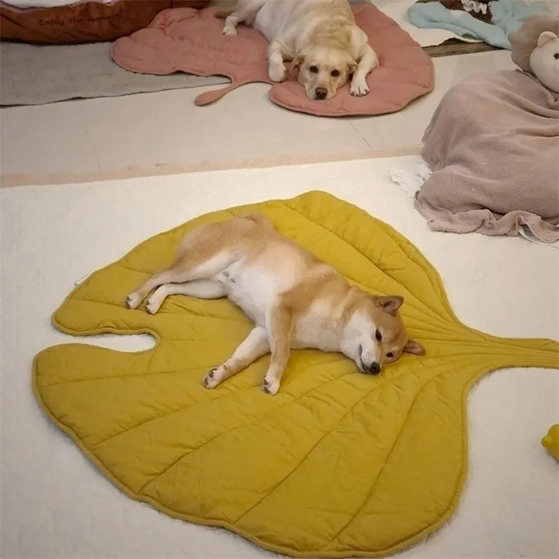 Cama Folha