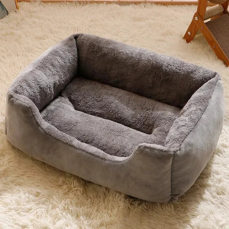 Cama Belasch