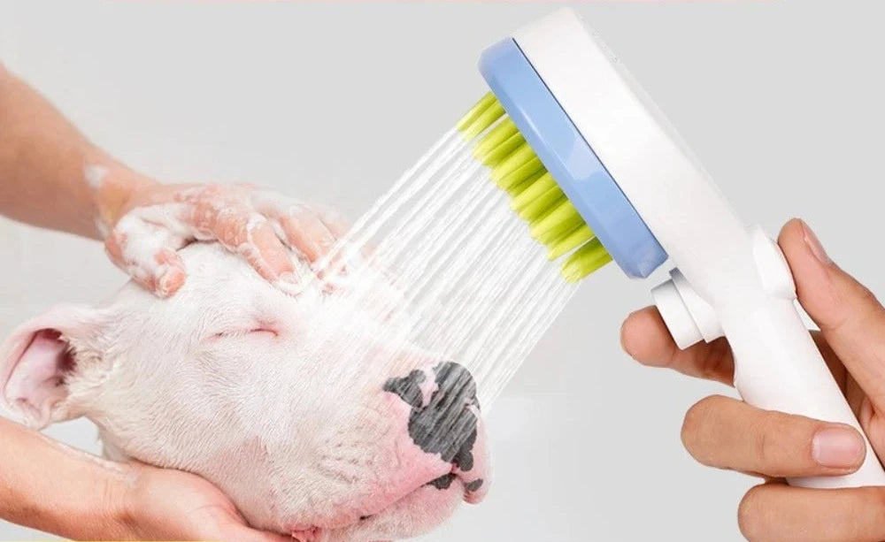 Chuveiro Massageador