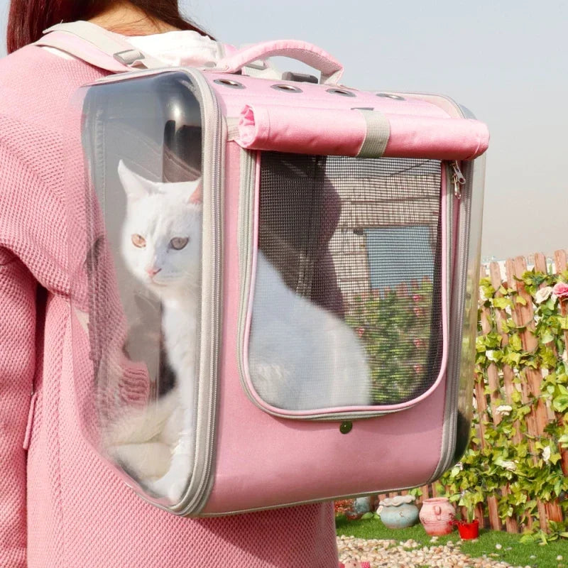 Transportadora
