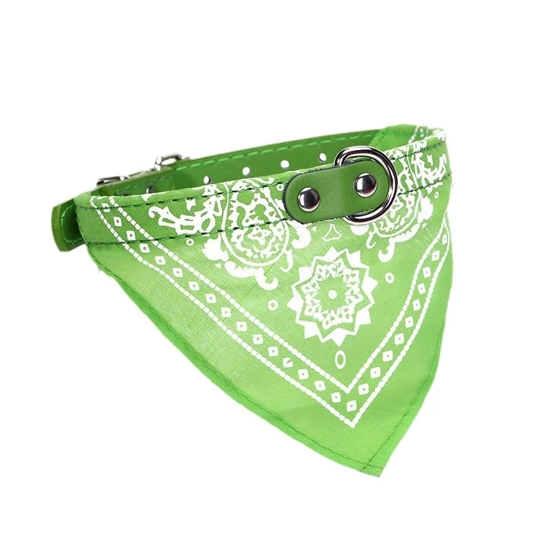 Coleira Bandana