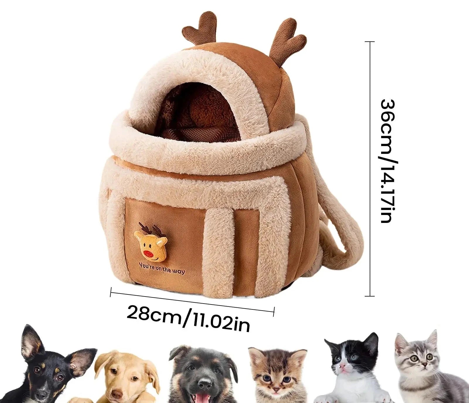 Bolsa Cártes