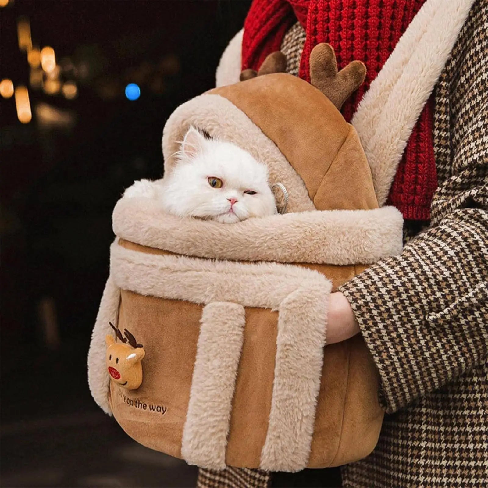 Bolsa Cártes