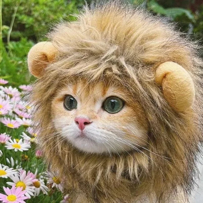 Peruca de Leão