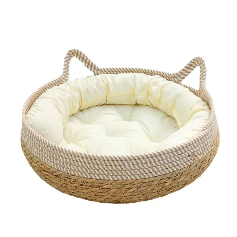 Cesta