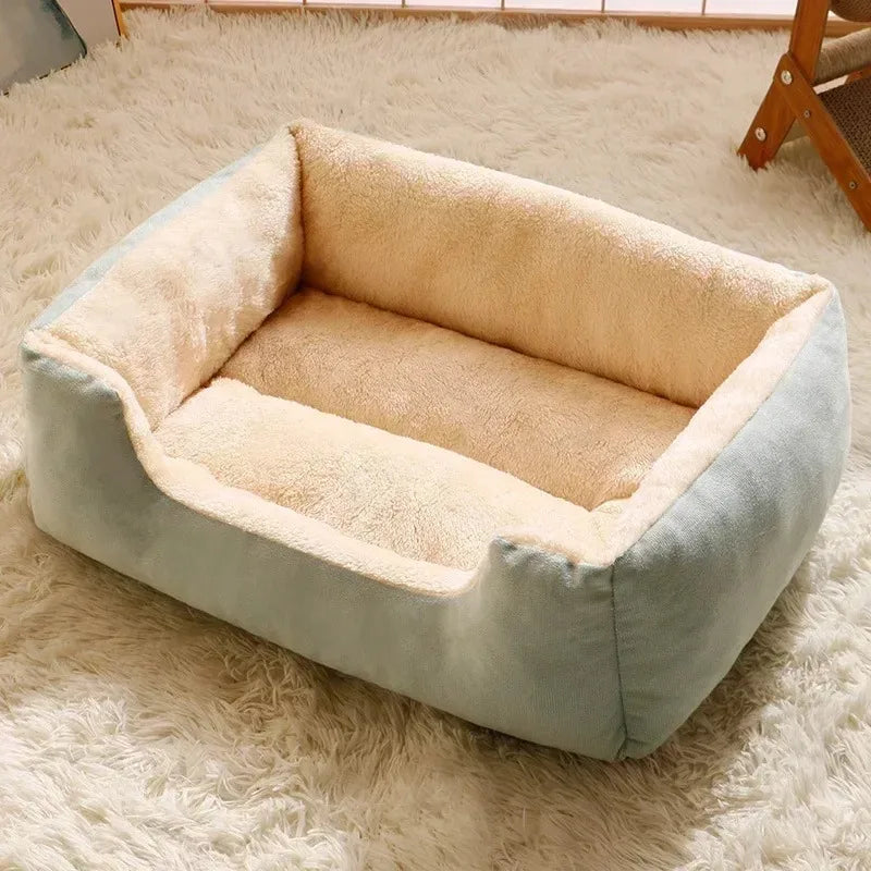 Cama Belasch