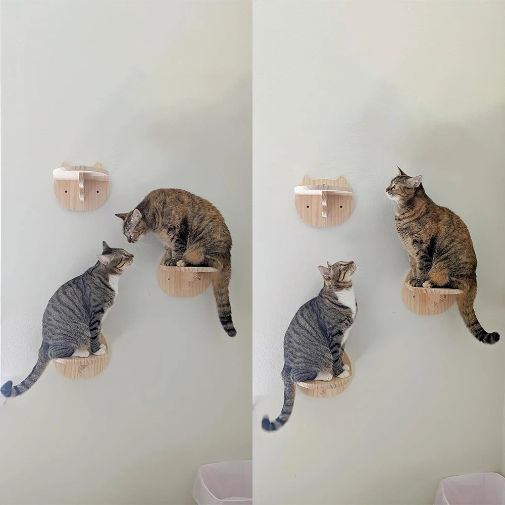 Escadas de Parede