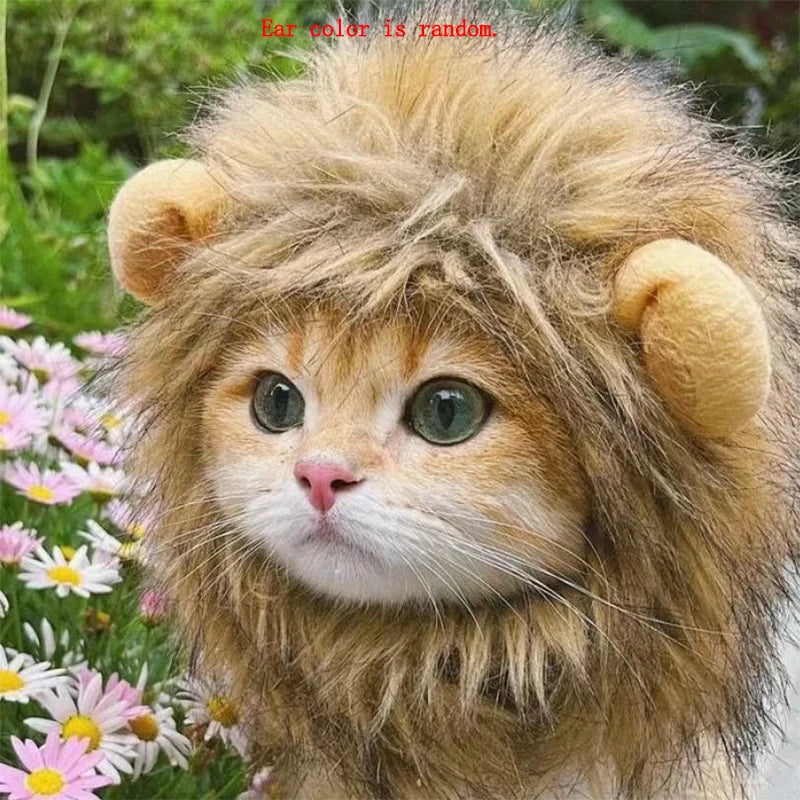 Peruca de Leão