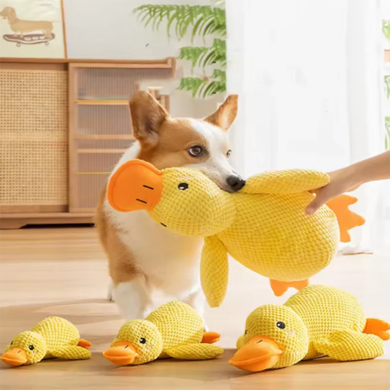 Ducky