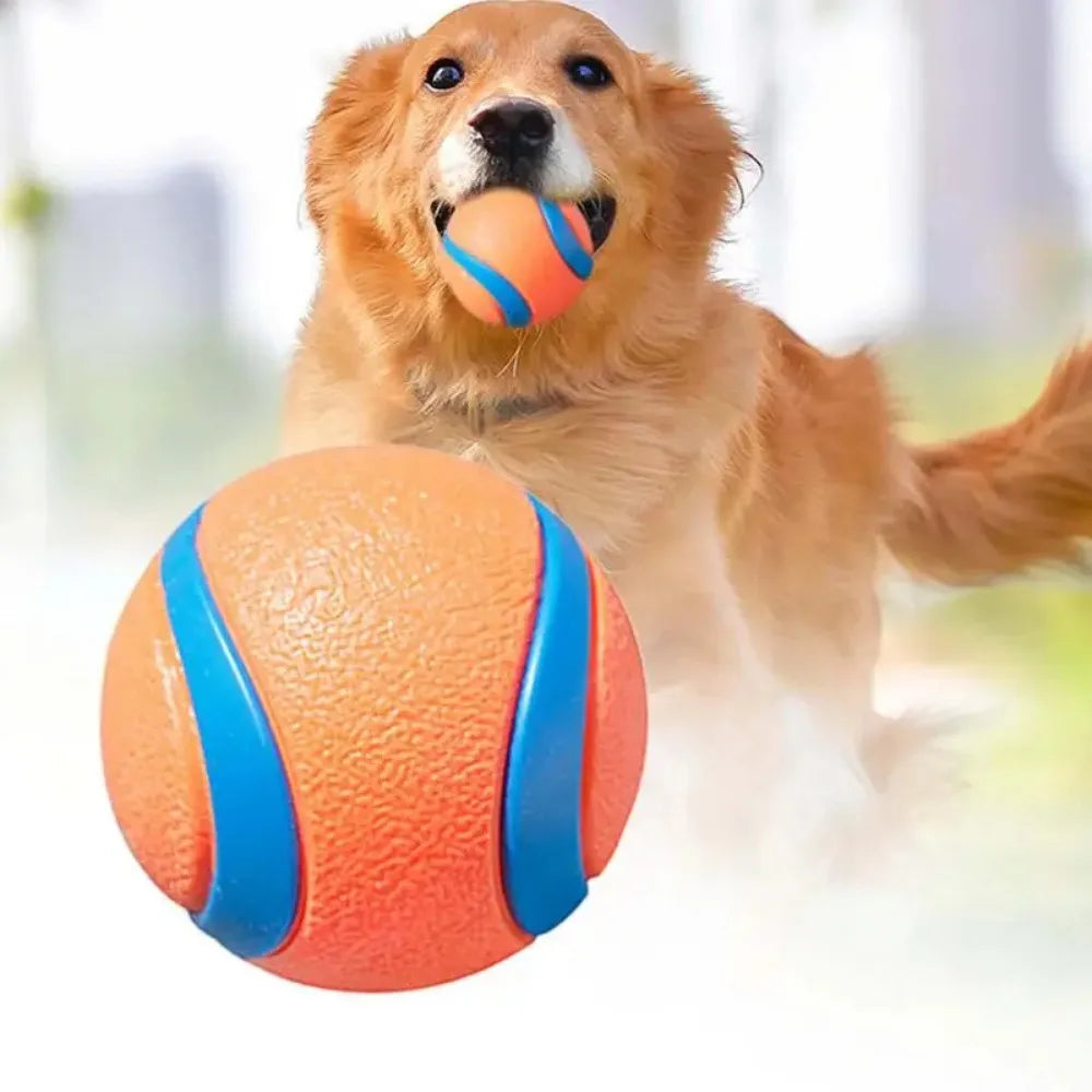 Bola