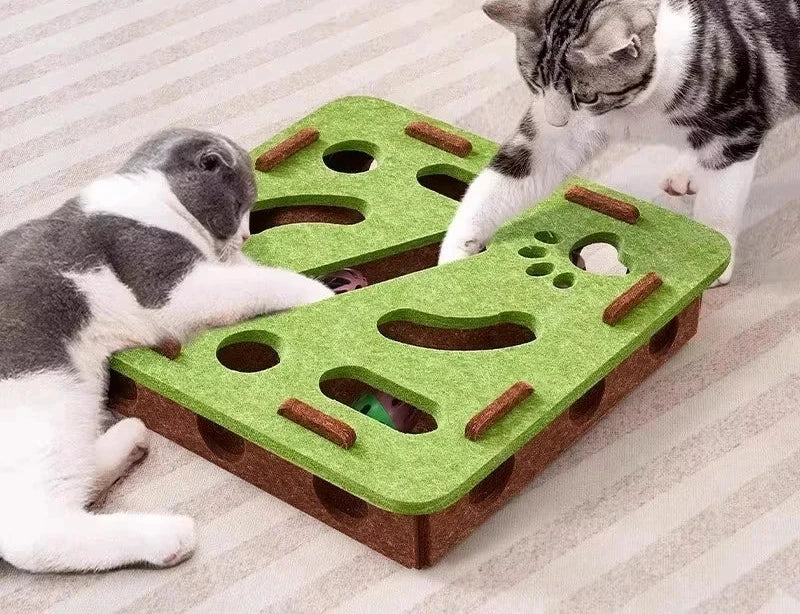 Jogo Formelisca