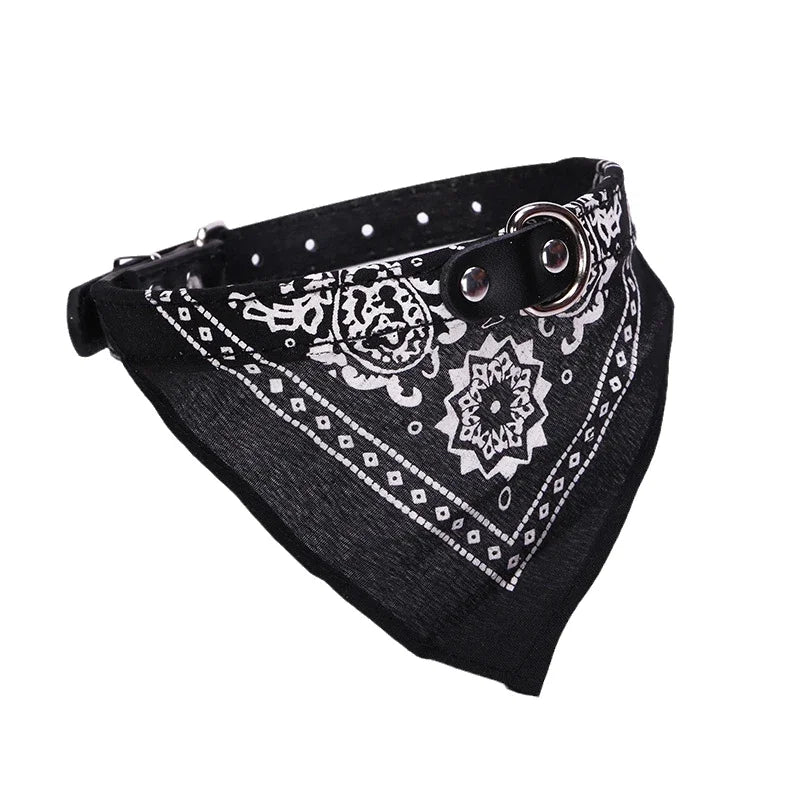 Coleira Bandana