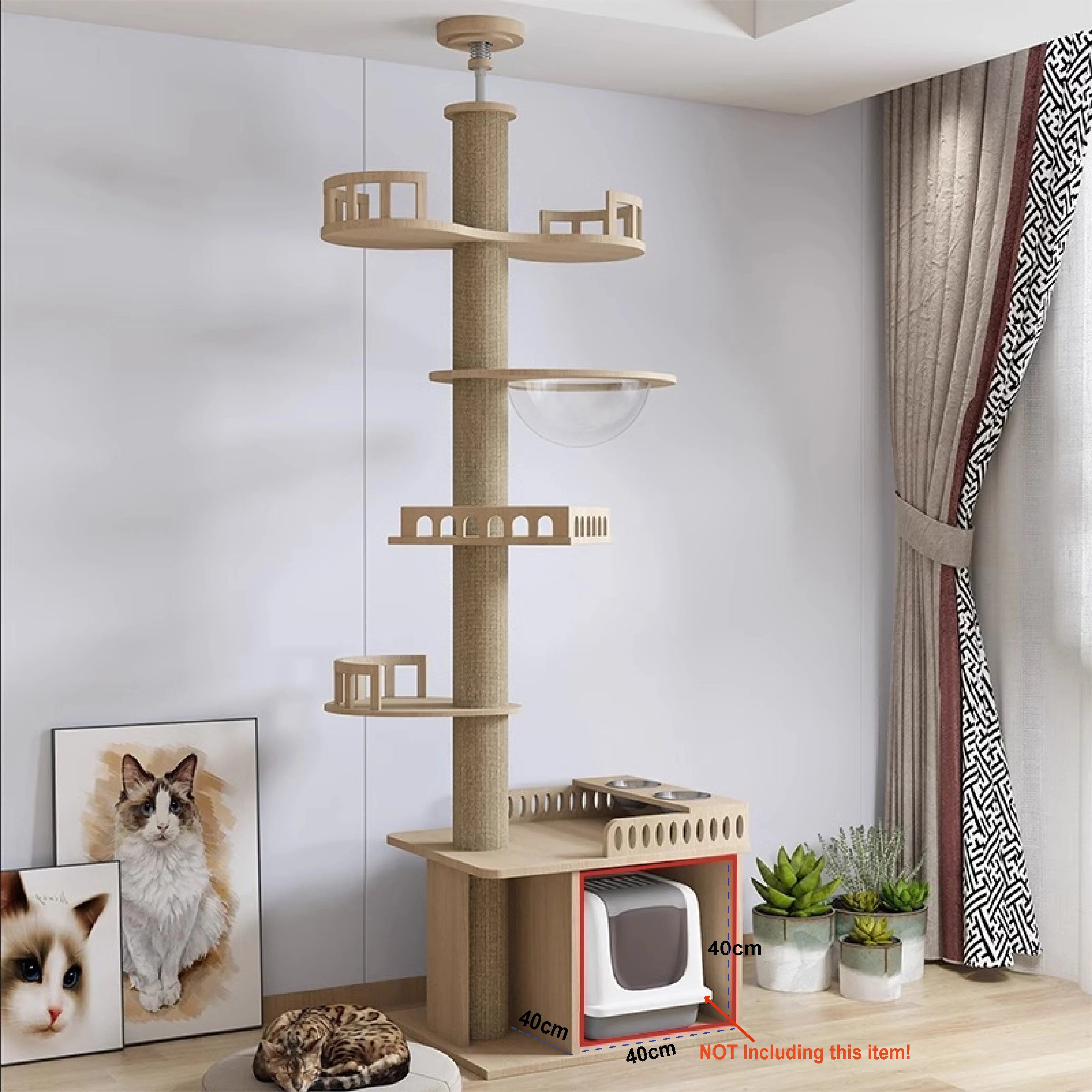 Torre Belly