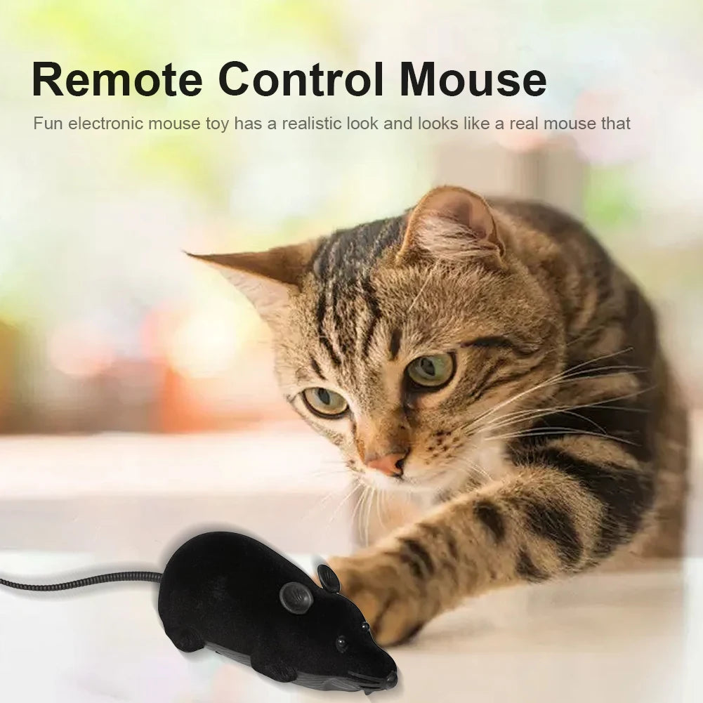 Mouse com Controlo Remoto
