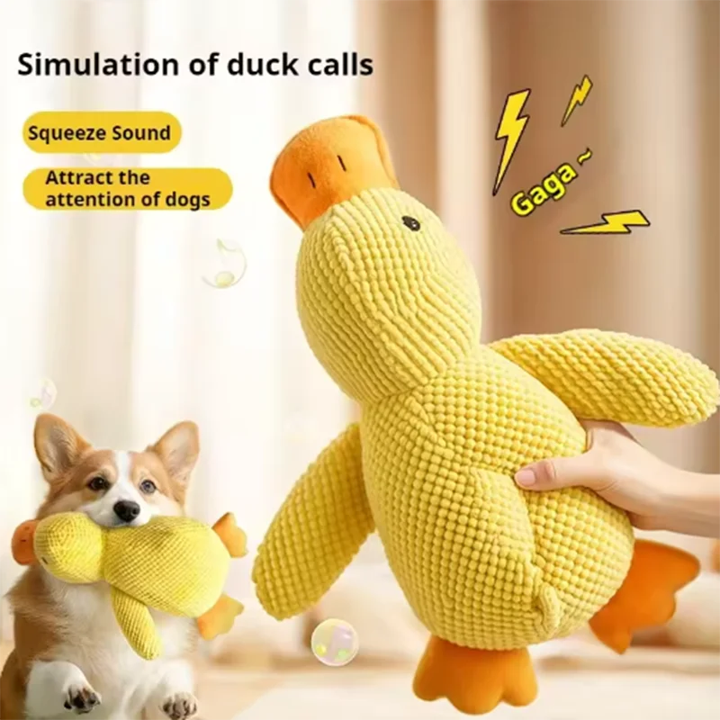 Ducky