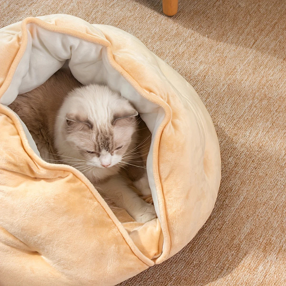 Ninho Famiri