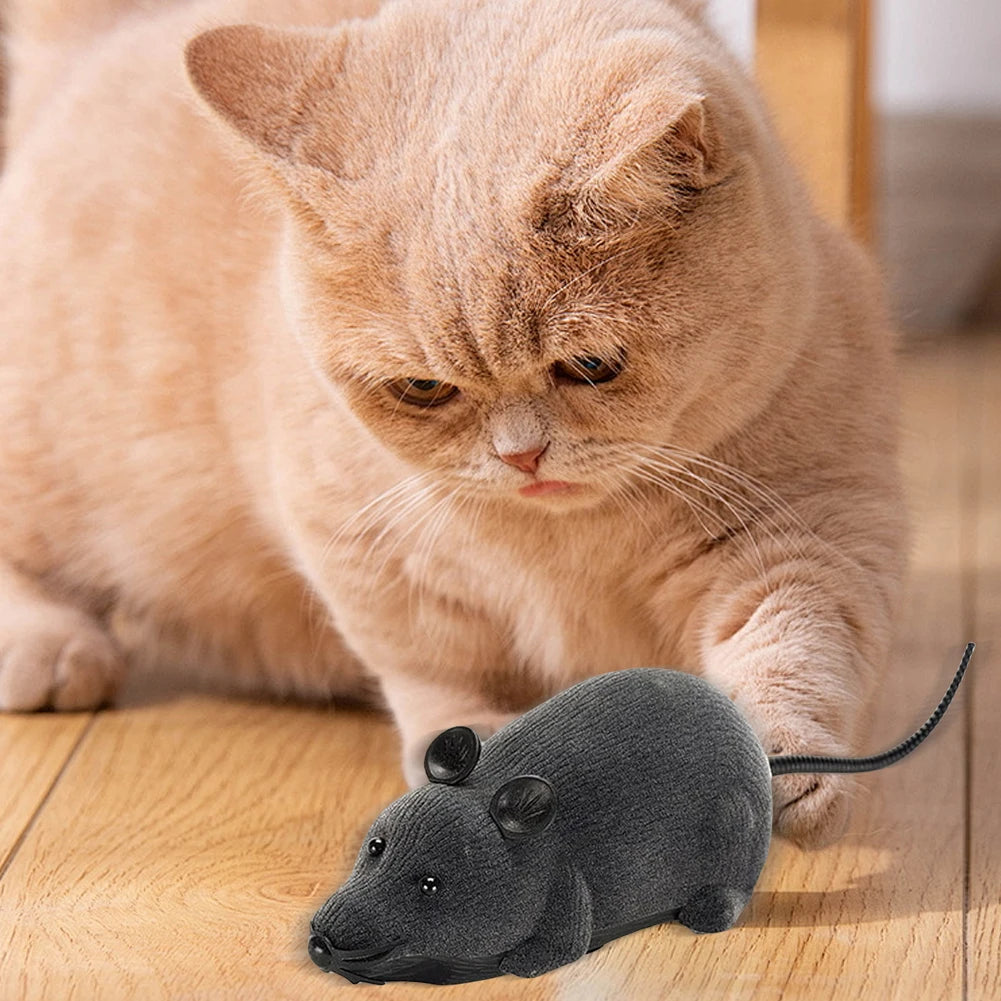 Mouse com Controlo Remoto