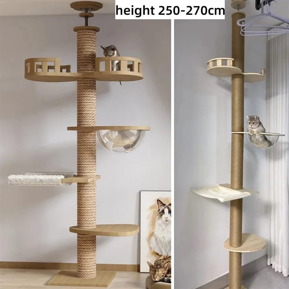 Torre Belly