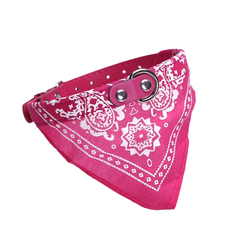 Coleira Bandana