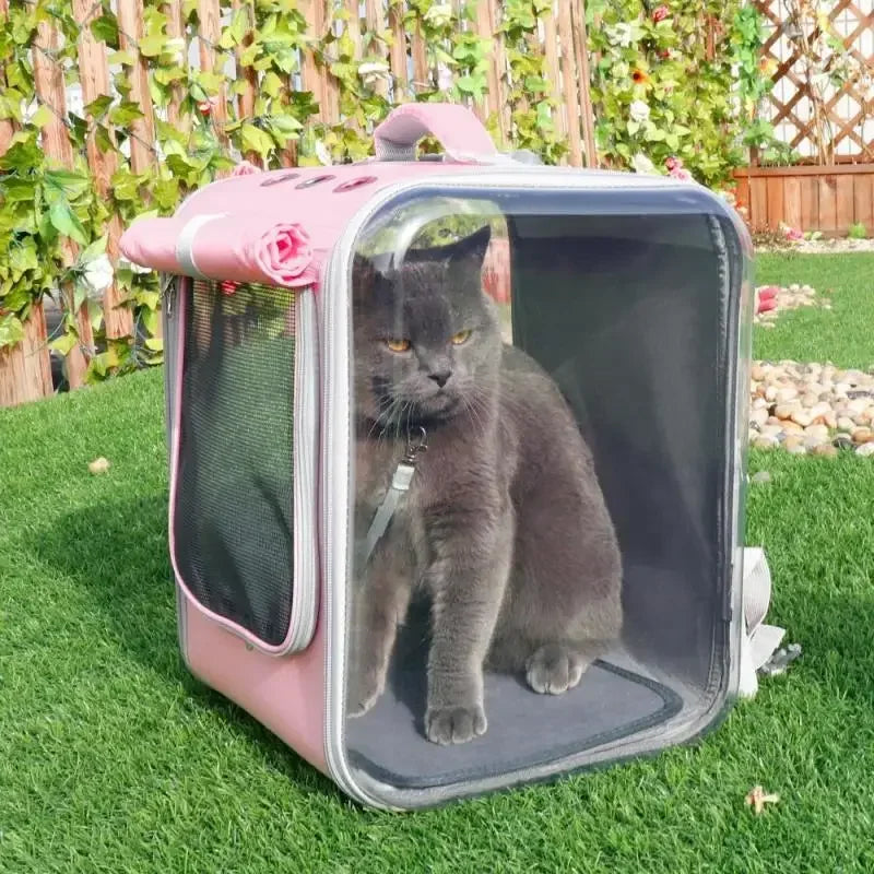 Transportadora