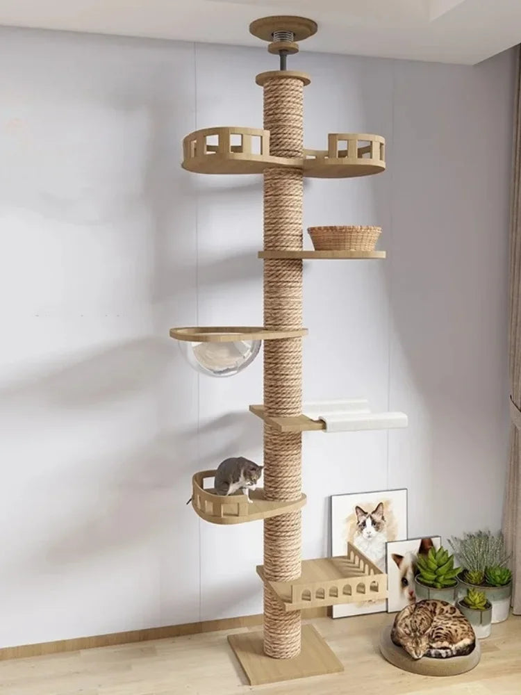 Torre Belly