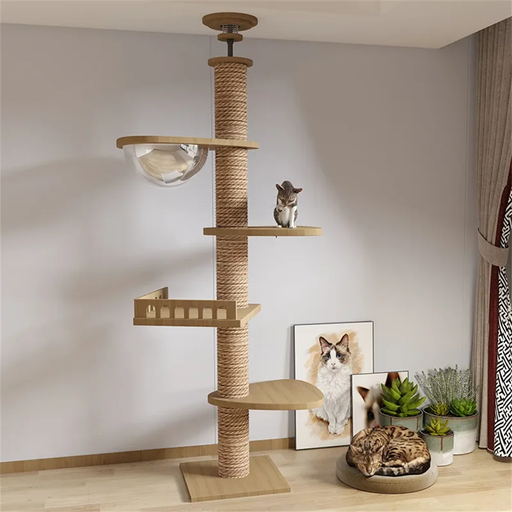 Torre Belly