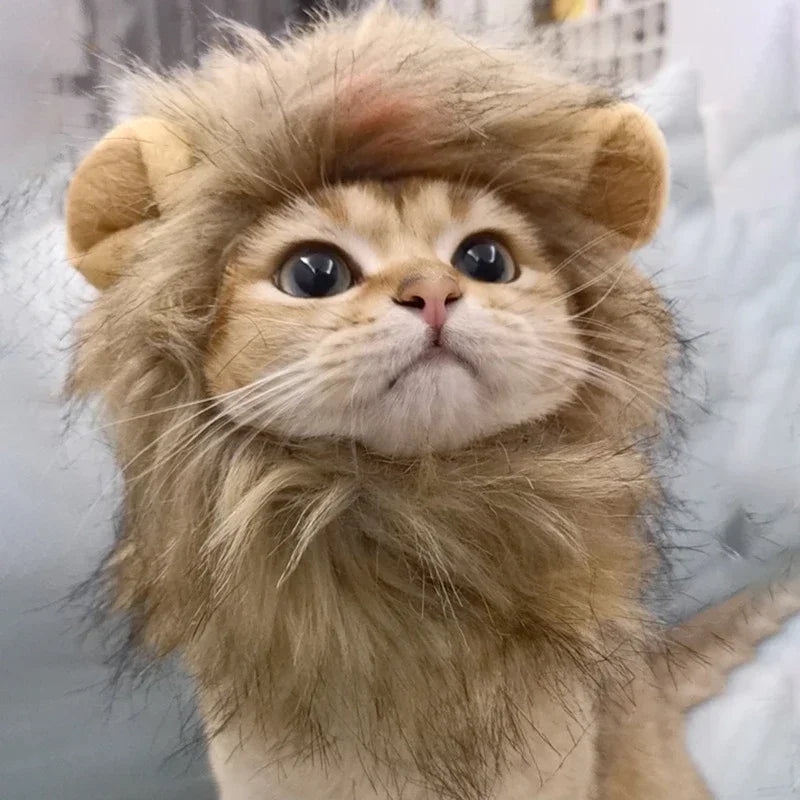 Peruca de Leão