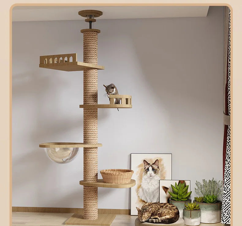 Torre Belly