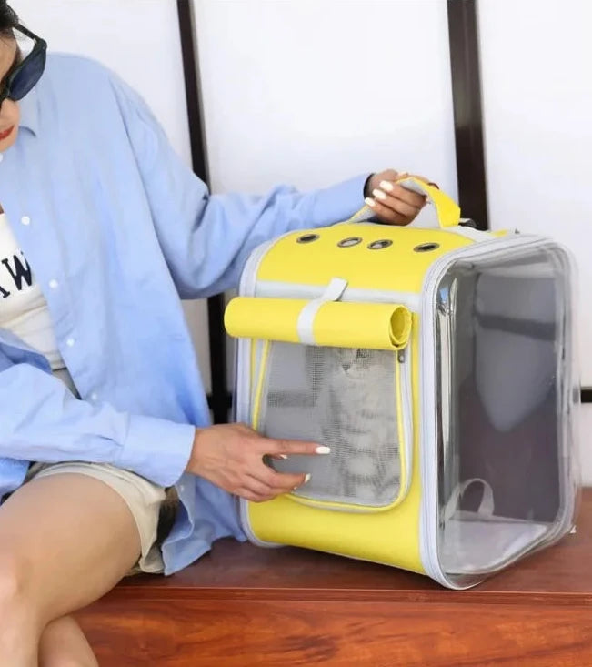 Transportadora