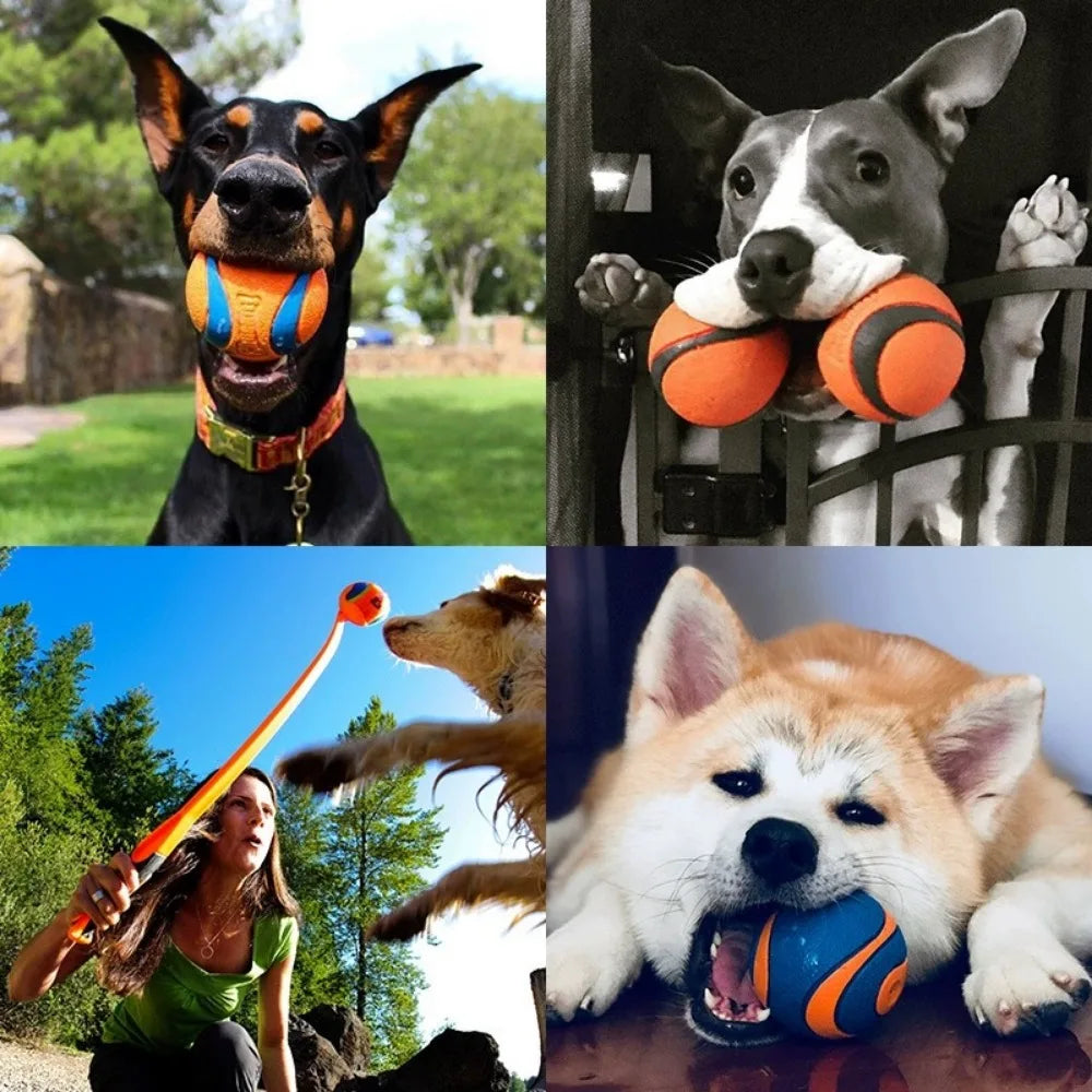 Bola