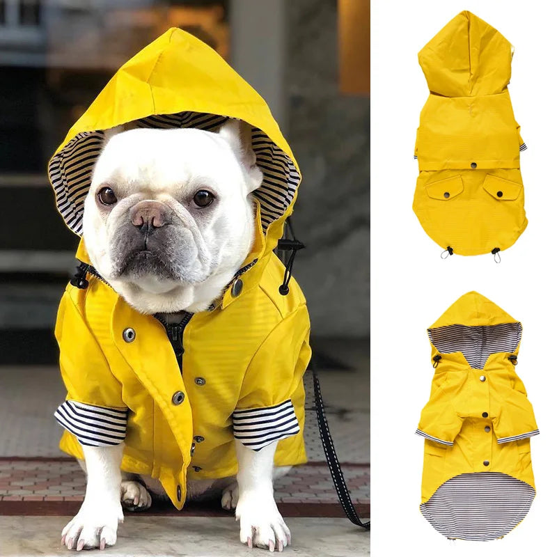 Capa de Chuva