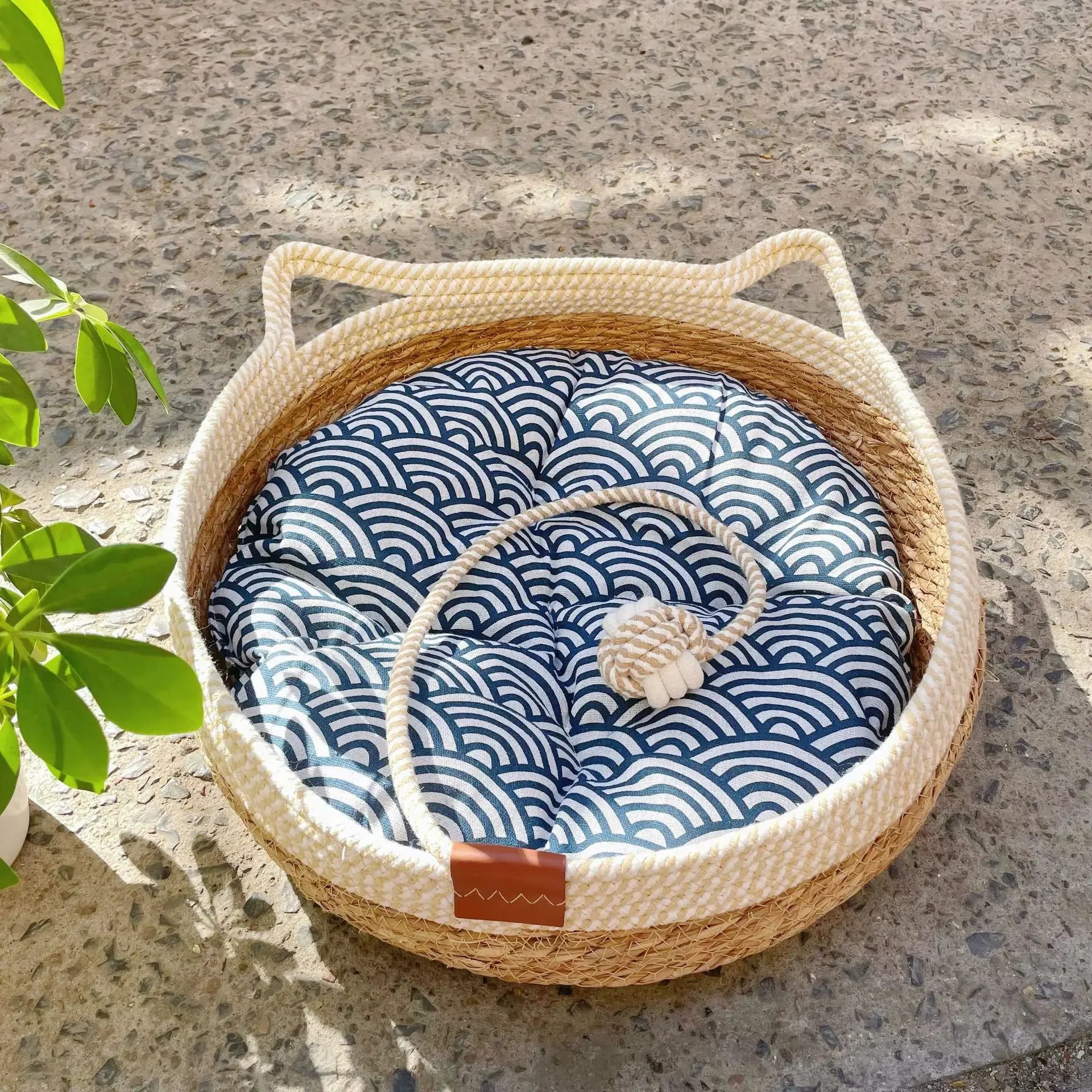 Cesta