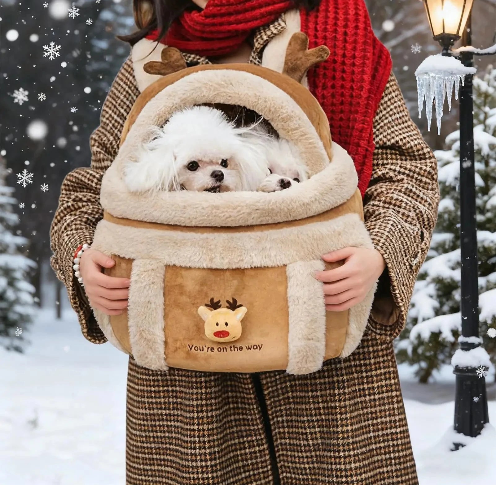 Bolsa Cártes