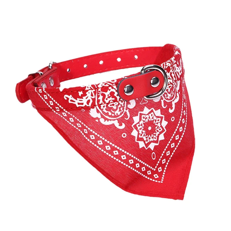 Coleira Bandana